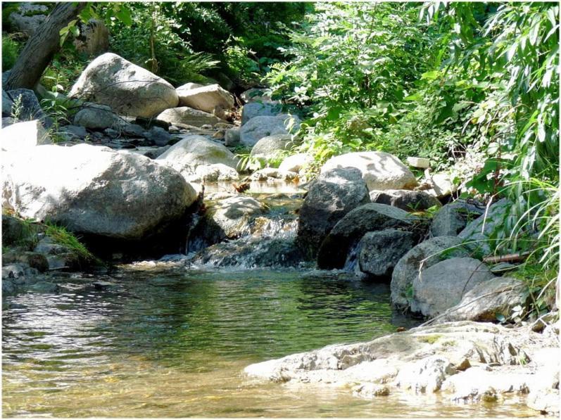 Gites En Cevennes "Chez Steloune" Genolhac Luaran gambar