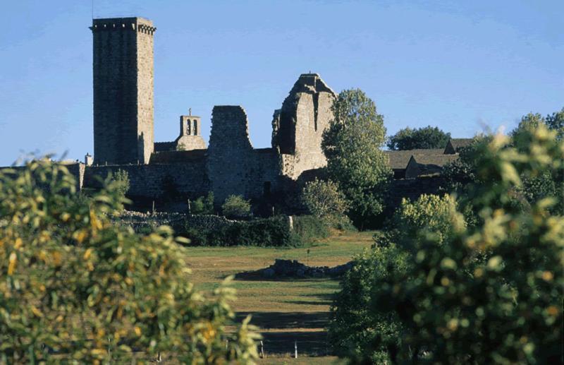 Gites En Cevennes "Chez Steloune" Genolhac Luaran gambar