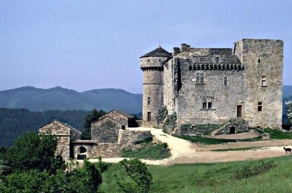 Gites En Cevennes "Chez Steloune" Genolhac Luaran gambar