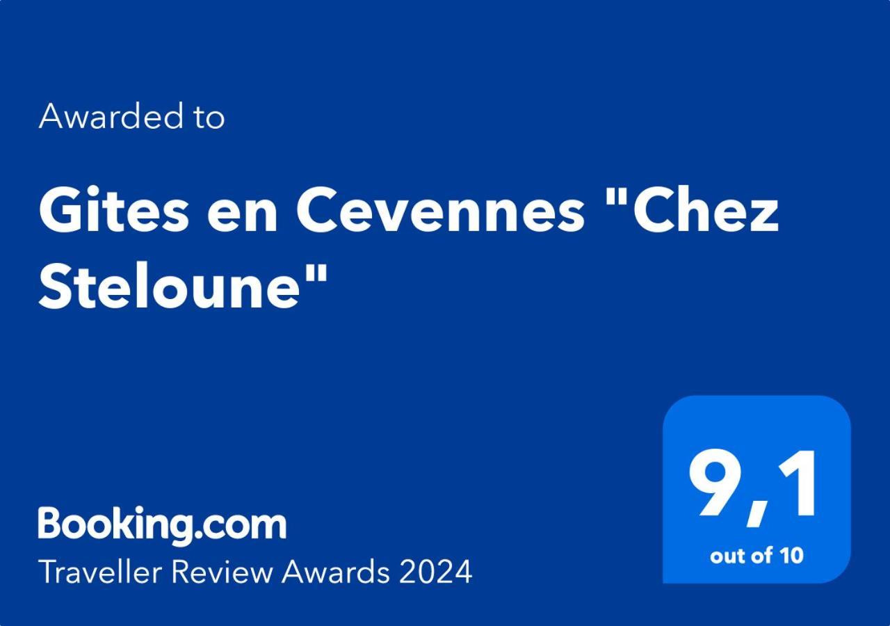 Gites En Cevennes "Chez Steloune" Genolhac Luaran gambar
